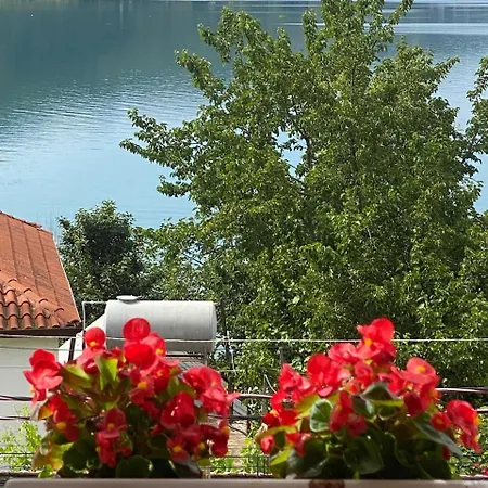 Blero Rent * Pogradec